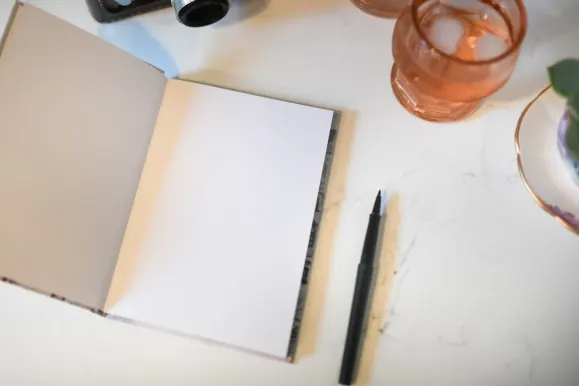 בובי קזינו תמיכה